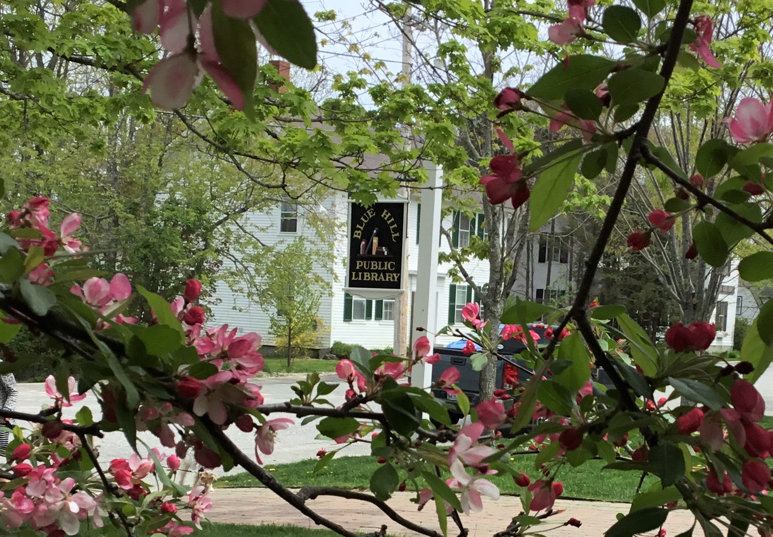Ways You Can Support The Blue Hill Public Library Blue Hill Public