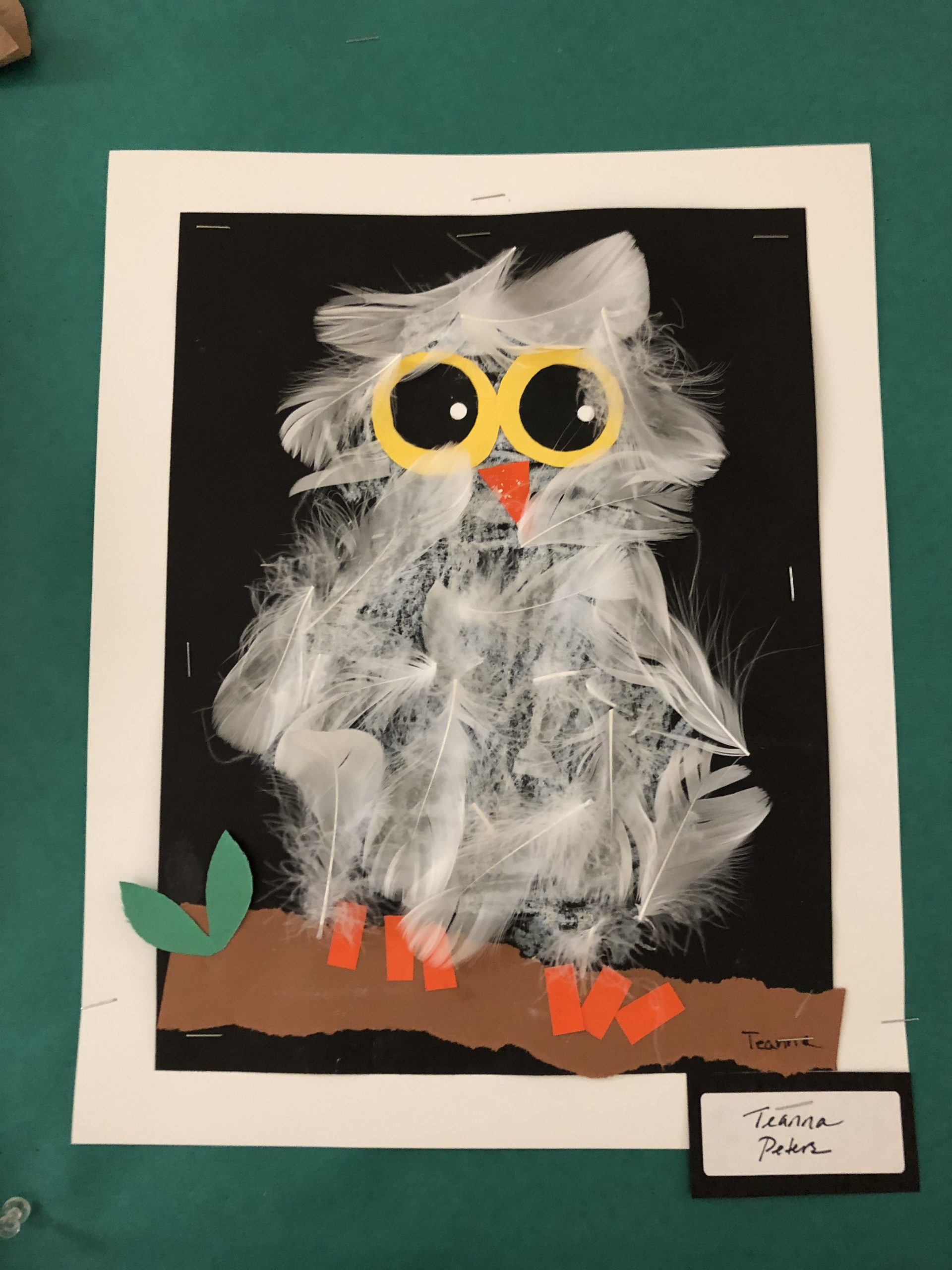 IMG_2337 Blue Hill Public Library