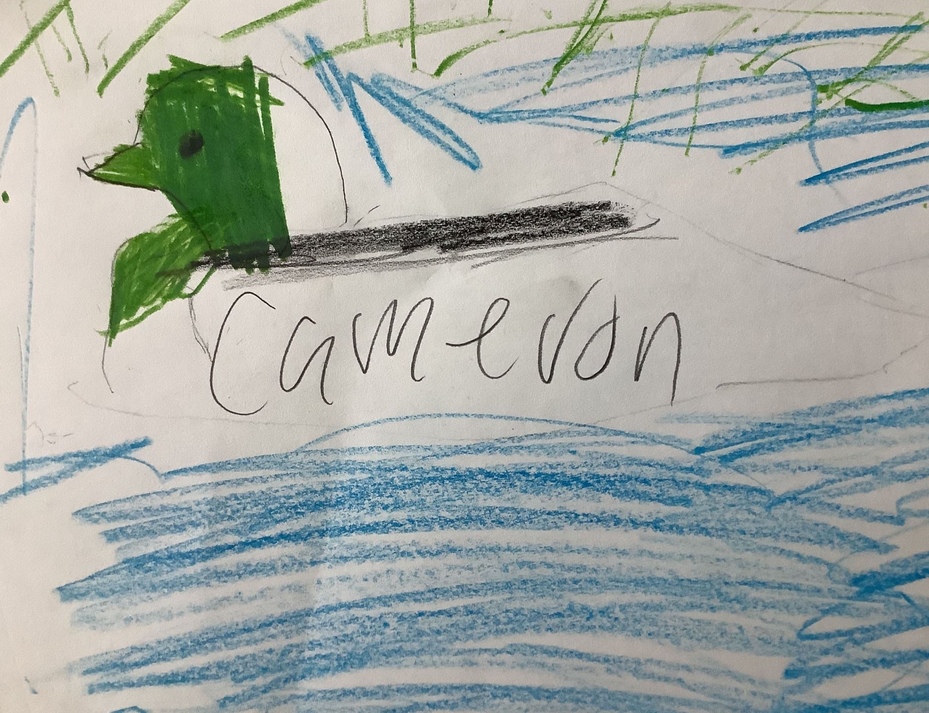 Blue Hill Consolidated School Blue Hill Public Library