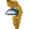 “Mytilus edulis: Portraits of Blue Mussel Shells” by Carolyn Butera